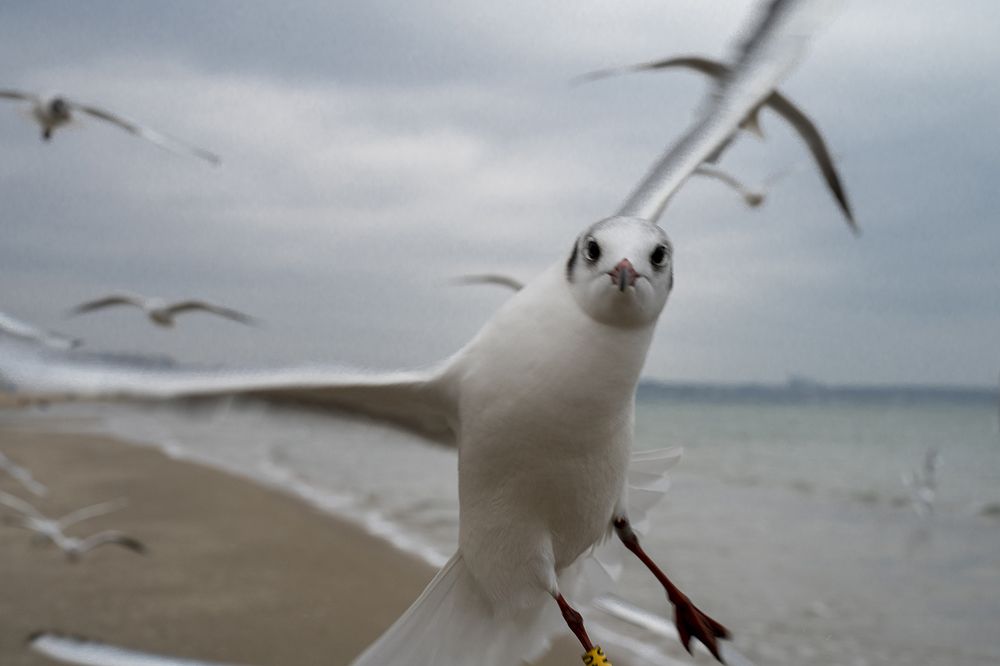 Photograph by Анна Шац