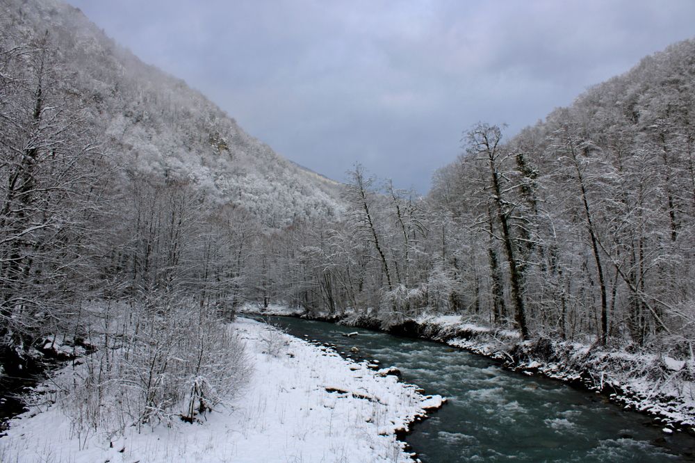 Photograph by Николай Немчанинов