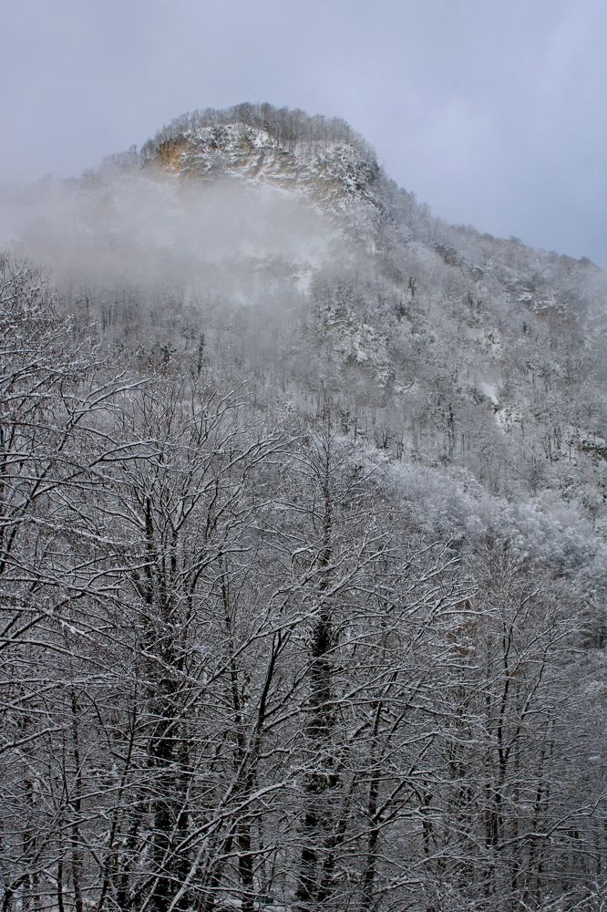 Photograph by Николай Немчанинов