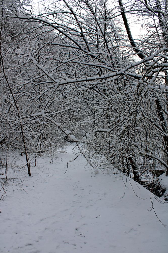 Photograph by Николай Немчанинов