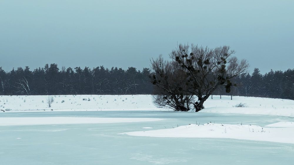 Photograph by Сергей Скарженюк