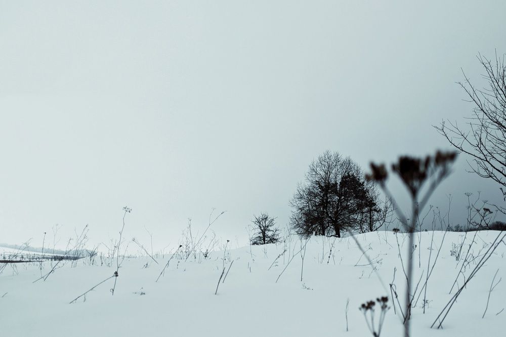 Photograph by Сергей Скарженюк