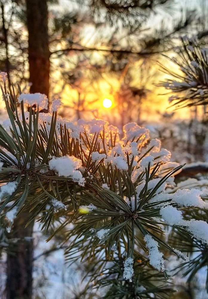 Photograph by Татьяна Герасименко