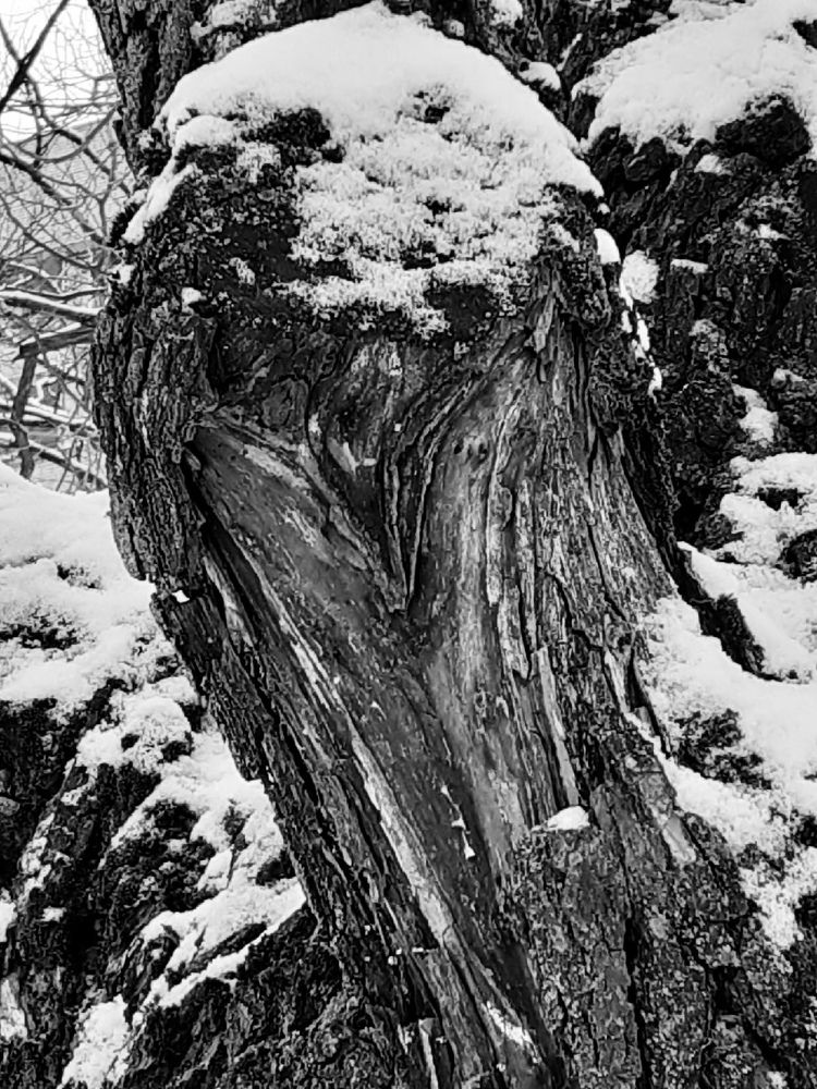 Photograph by Евгения Ульянова