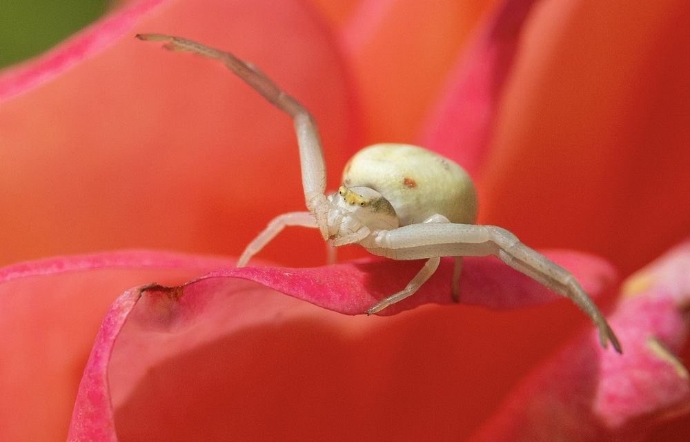 Photograph by Шувалова Мария