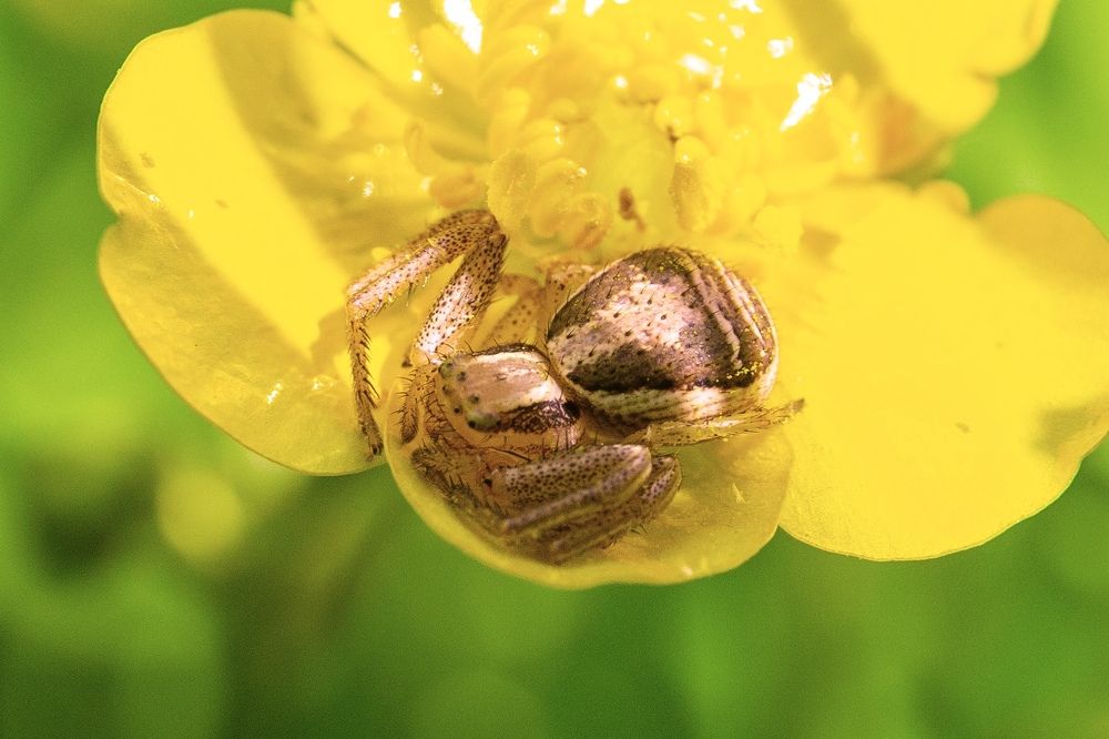 Photograph by Шувалова Мария