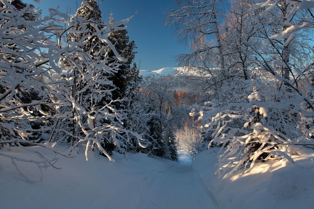 Photograph by Александр Полюдов