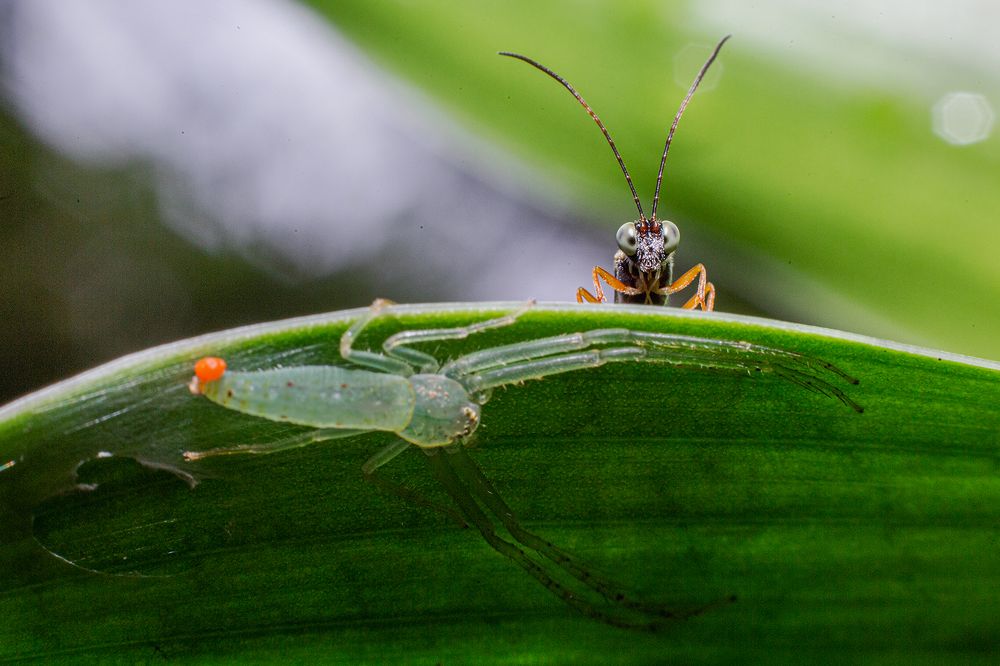 Фотография автора Sasindu Pramuditha
