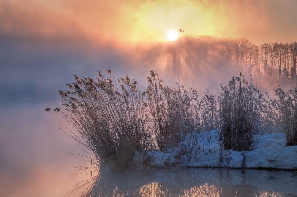 Фотография автора Чиж Андрей