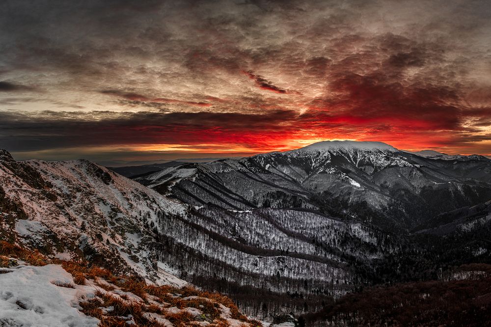 Photograph by Пламен Куденко