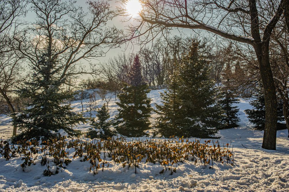Photograph by Роман Васильев