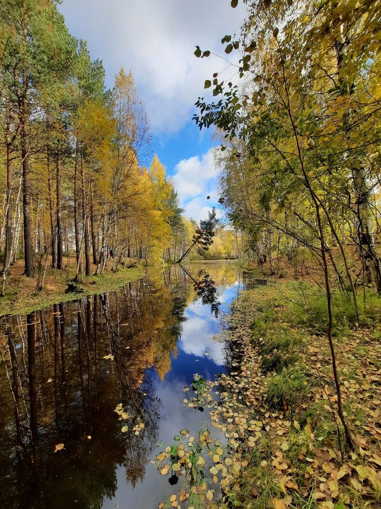 Photograph by Людмила