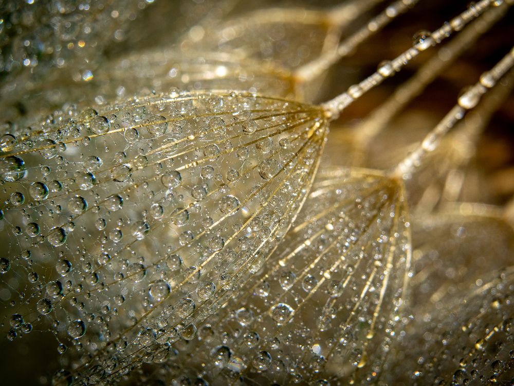 Мой мир через объектив фотоаппарата