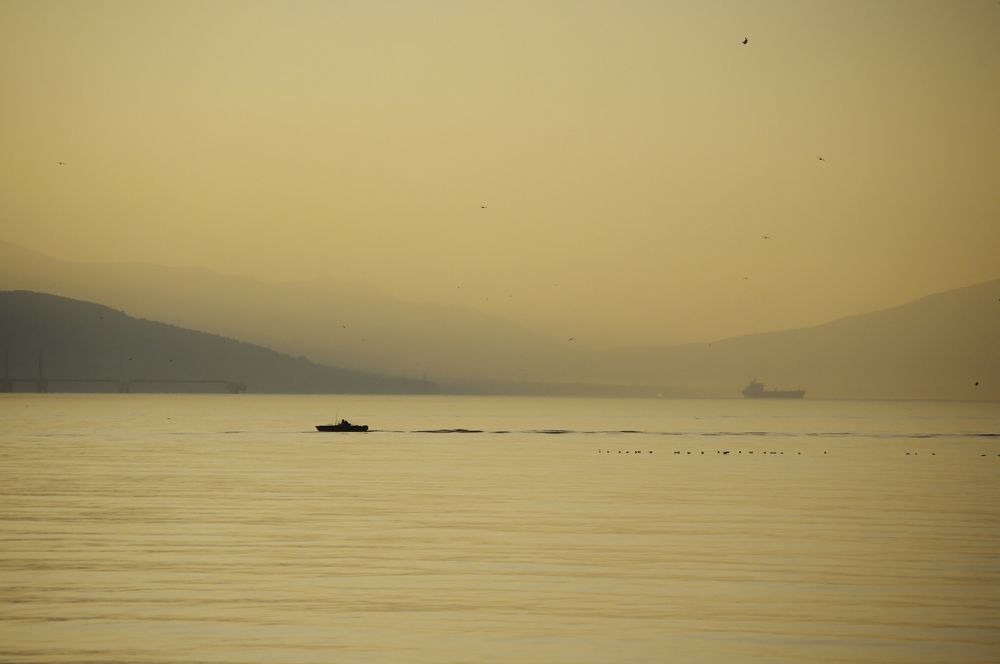 Фотография автора Olga Sarieva