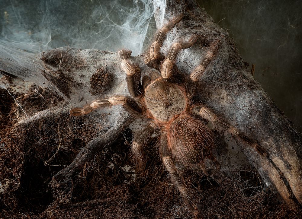 Фотография автора Андрей Жила