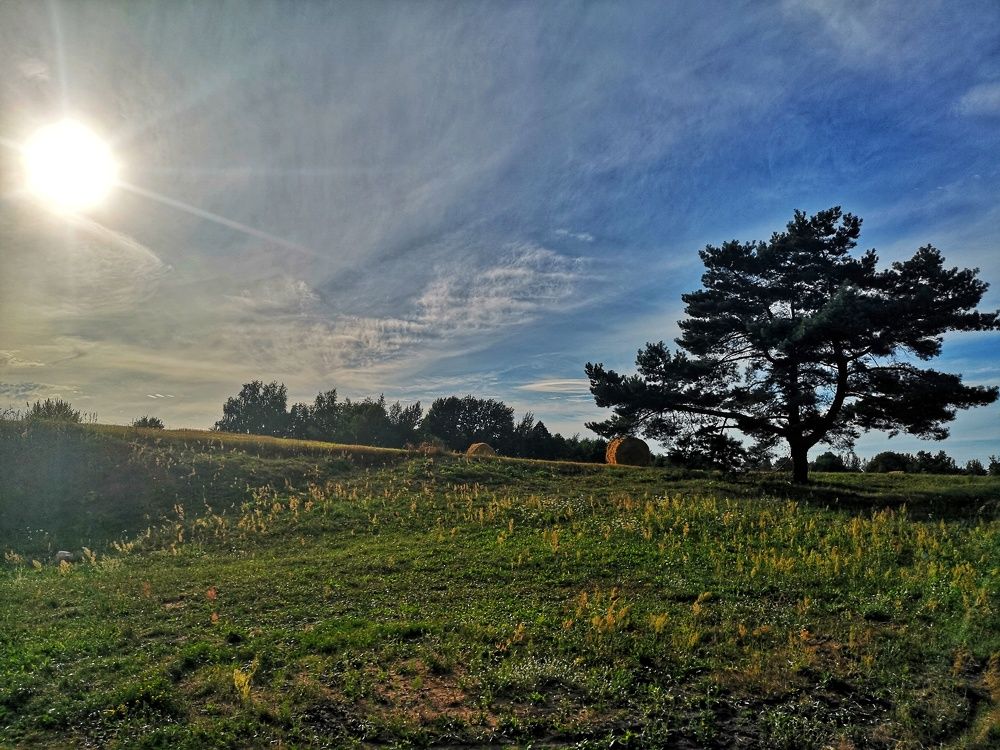 Photograph by Екатерина