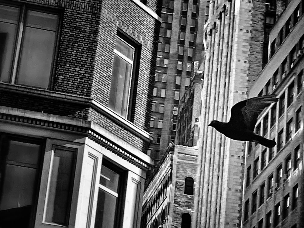 Photograph by Stephanie E’amato