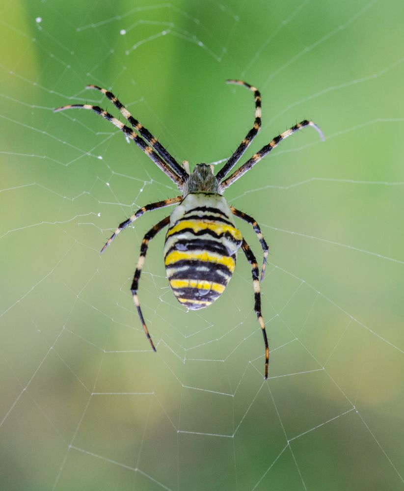 Photograph by Овсенёв Александр