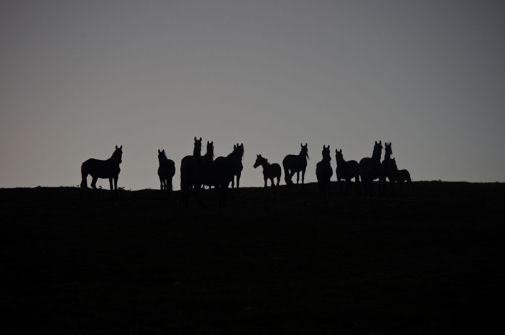 Фотография автора Olga Sarieva