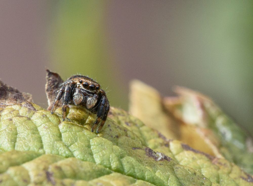 Photograph by Овсенёв Александр