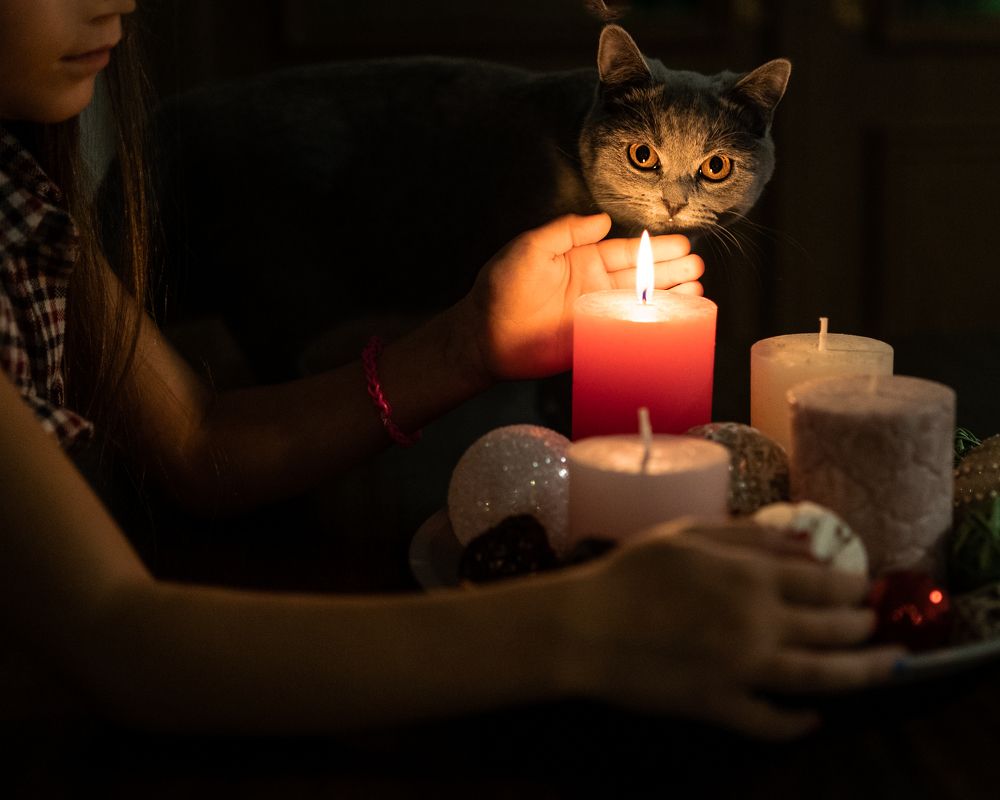 Photograph by Nelli Polle