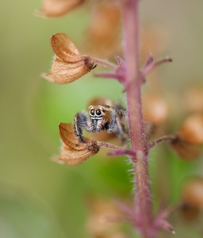 Photograph by Lakshya Sharma