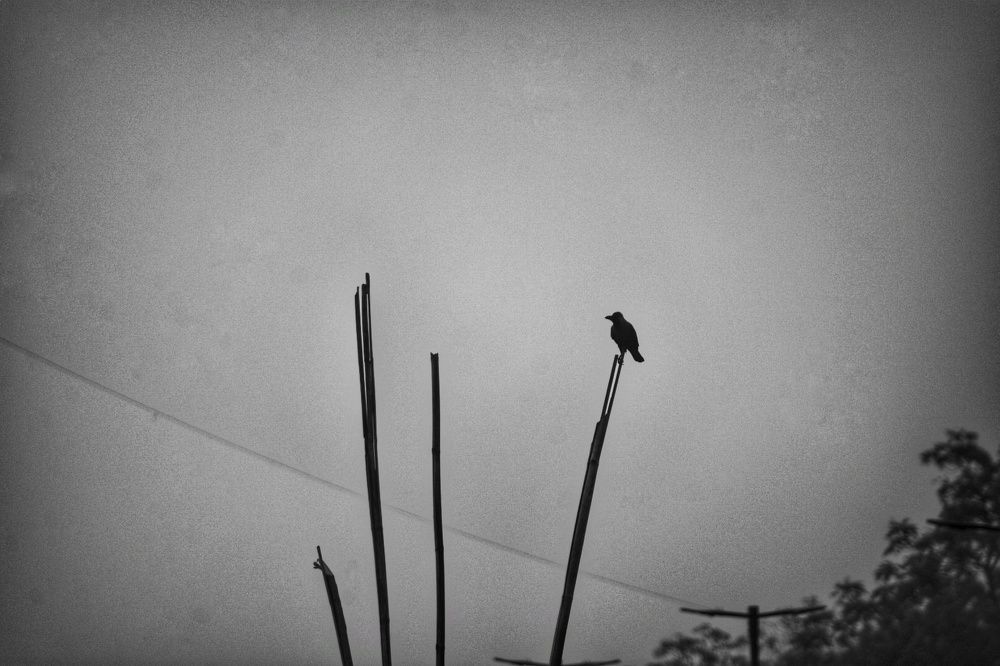 Фотография автора ABHISHEK SHAH