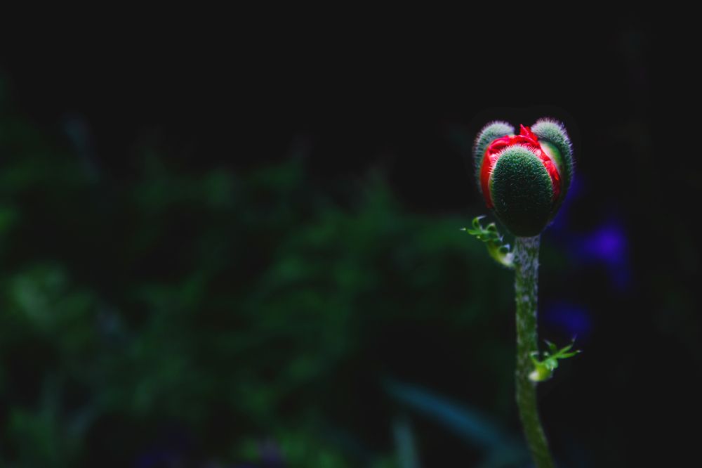 Фотография автора Лукашенко Ольга