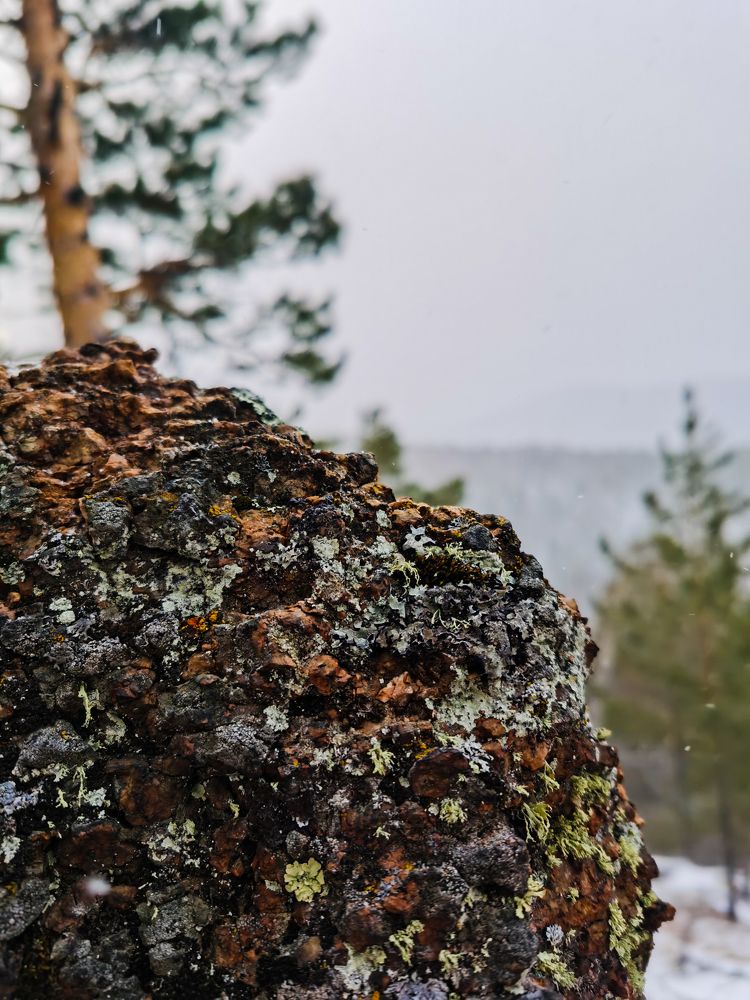 Photo #7071556