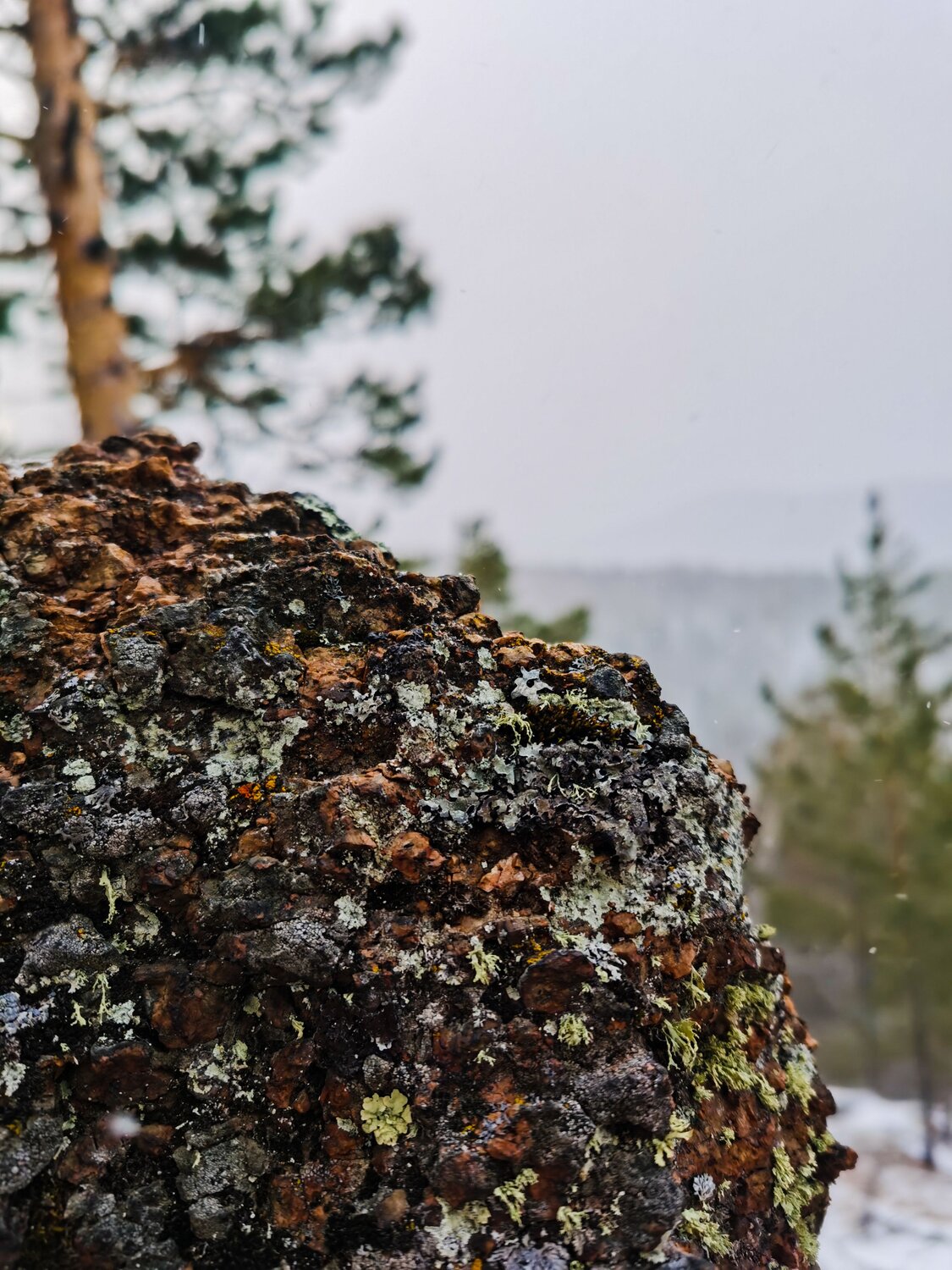 Photo #7071556