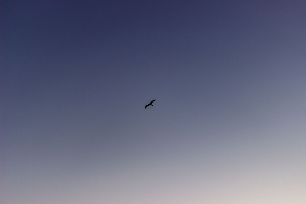 Фотография автора Ольга Войтехович