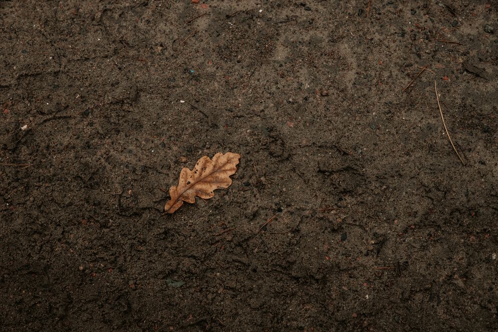 Фотография автора Лукашенко Ольга