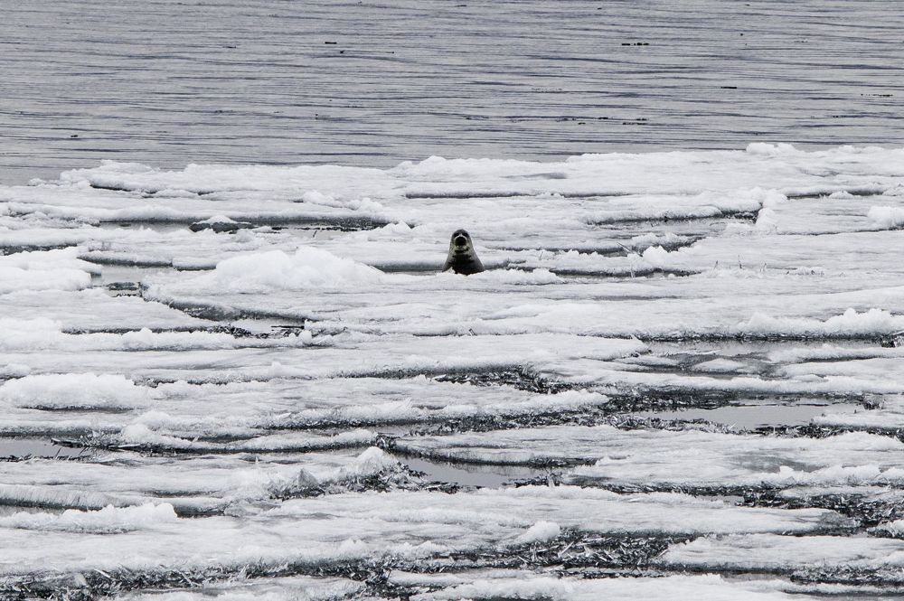Photograph by Анастасия Токарская