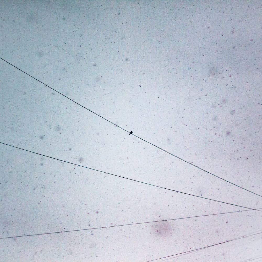 Photograph by Дмитрий Лекомцев