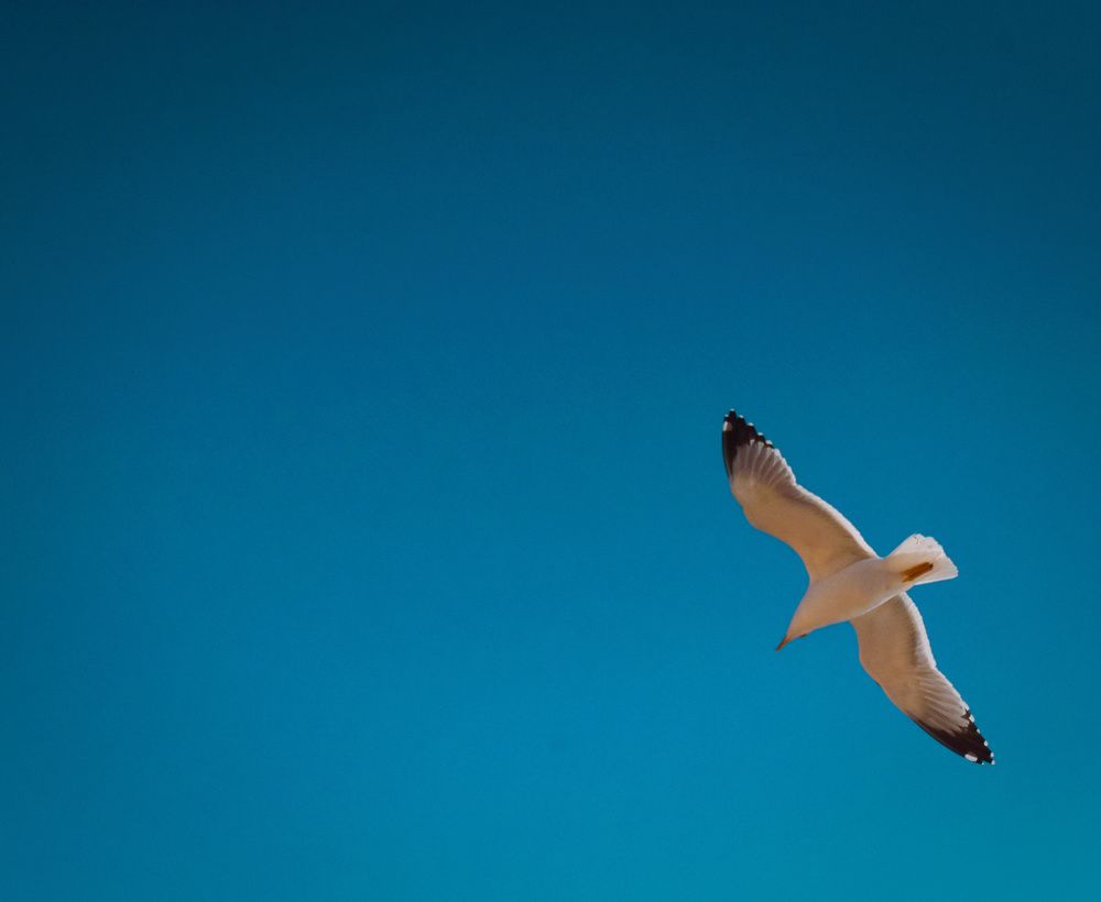 Photograph by Екатерина Гордеева