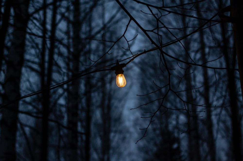 Photograph by Дмитрий Лекомцев