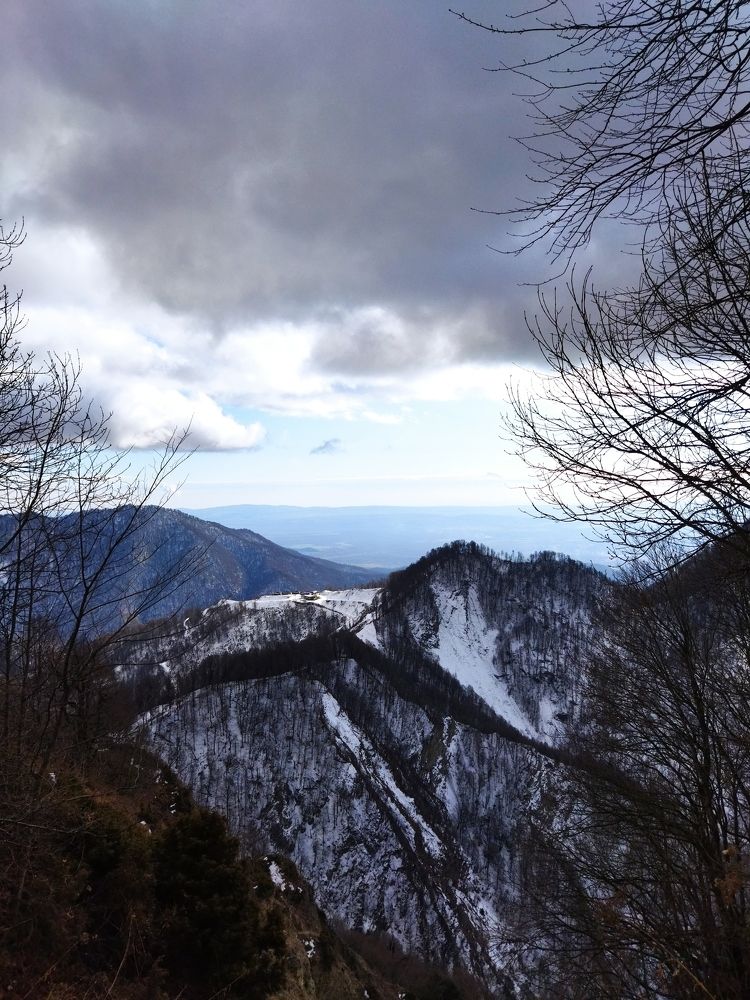 Photo #7071614