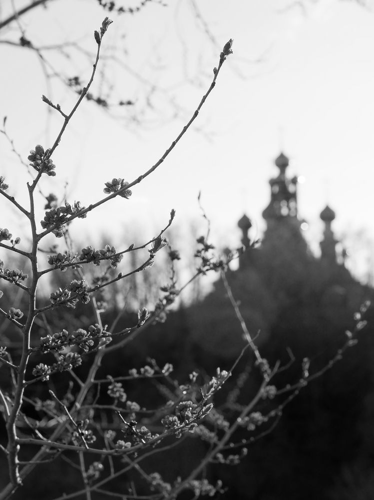 Photograph by Маргарита