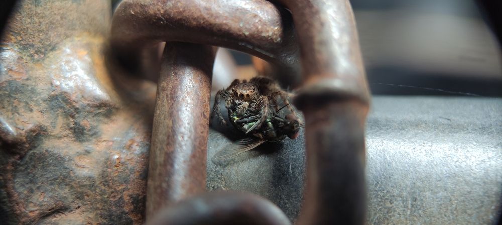 Photograph by Merta Jaya