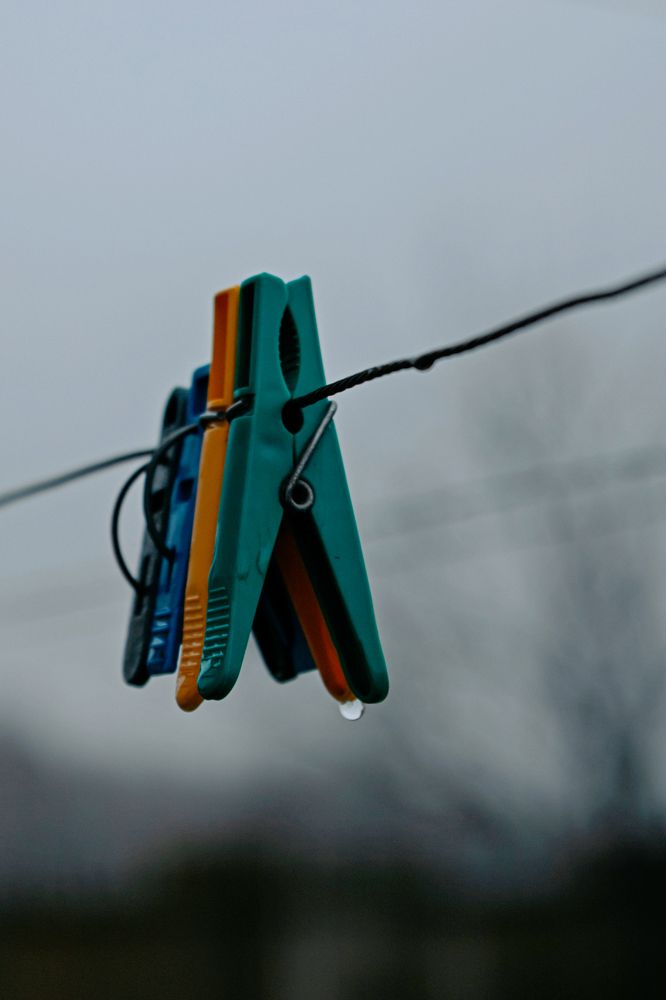 Фотография автора Лукашенко Ольга