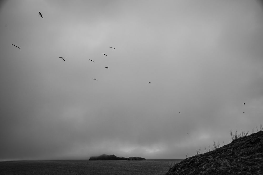 Photograph by Анастасия Токарская