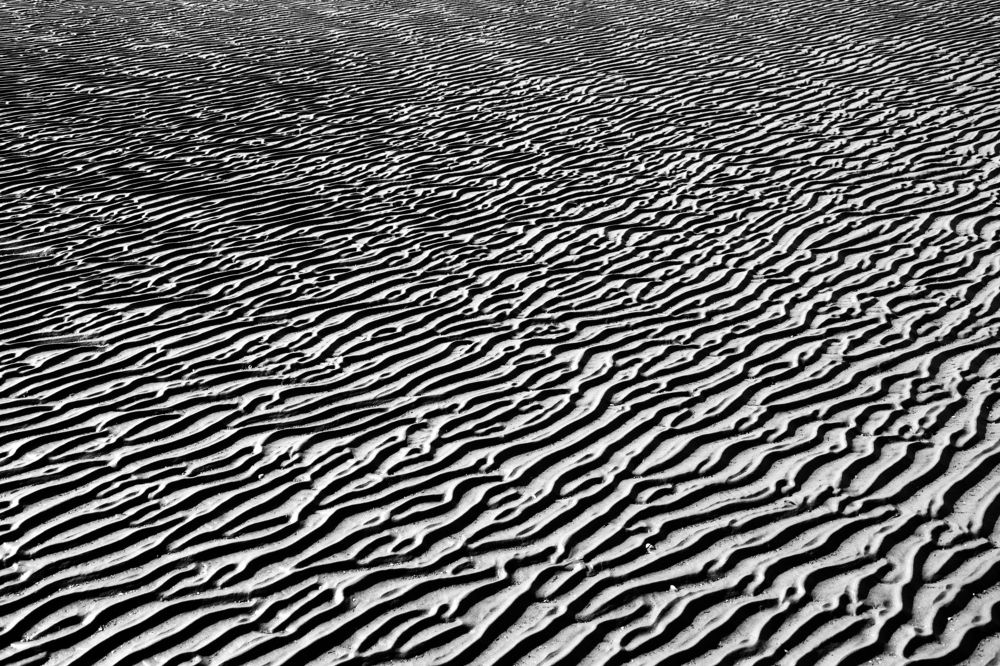 Photograph by Евгений Моляшов