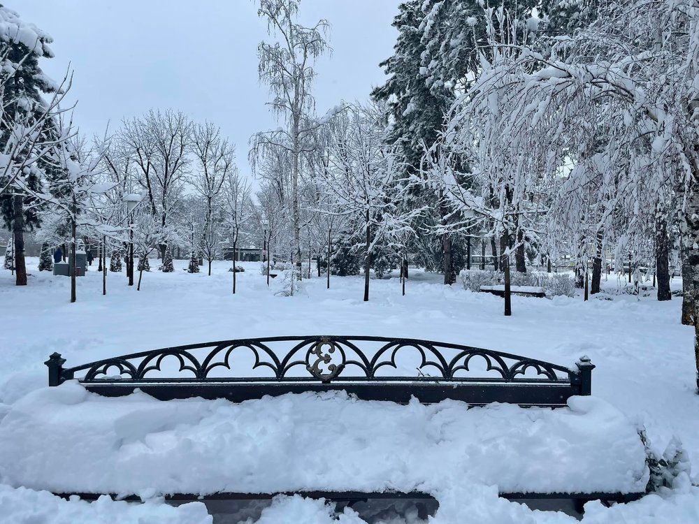 Фотография автора Юлия