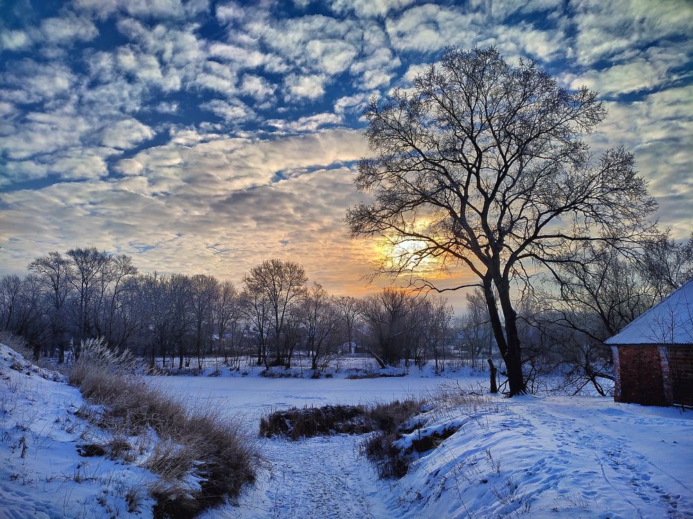 СОЛНЦЕ В ЯНВАРЕ