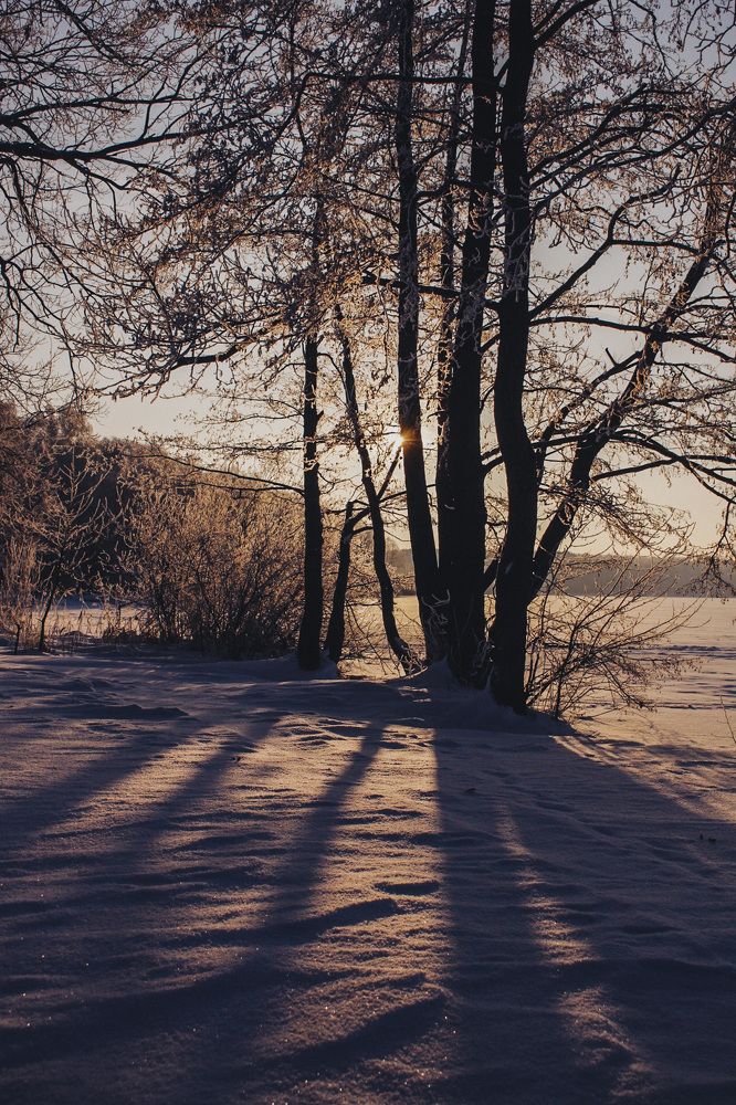 Photograph by Ян Ступкин