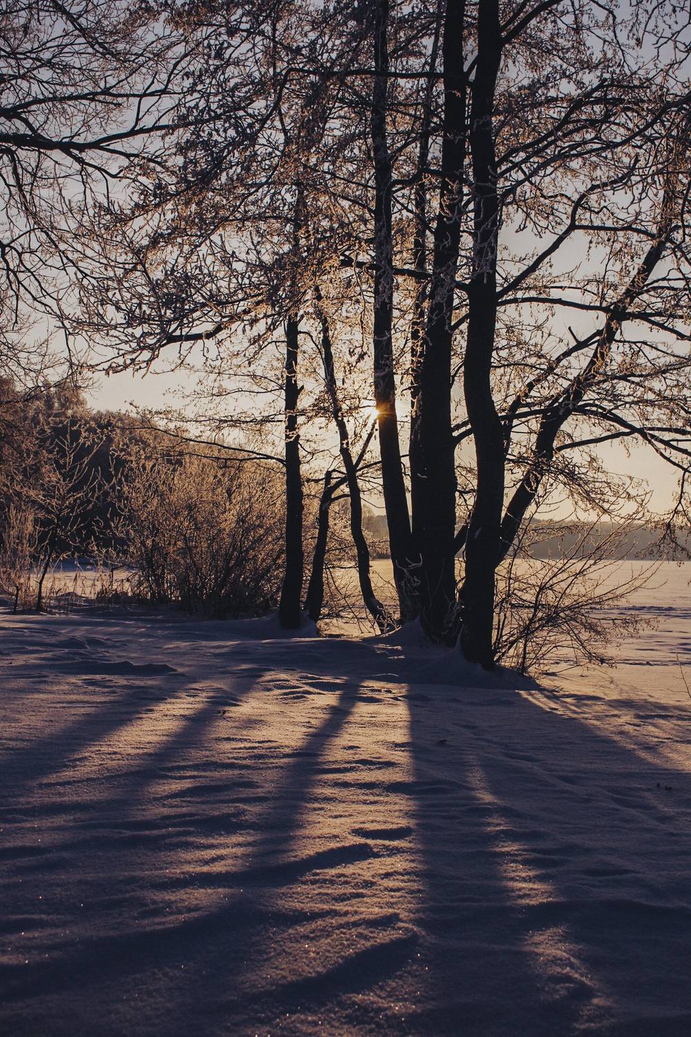 Photo #7071756