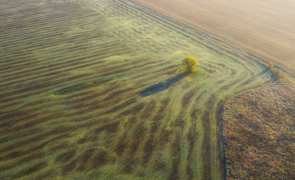 Photograph by Павел Трефилов