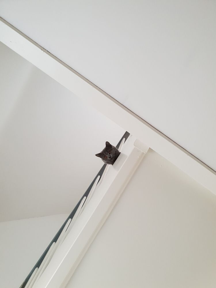 Photograph by Nelli Polle