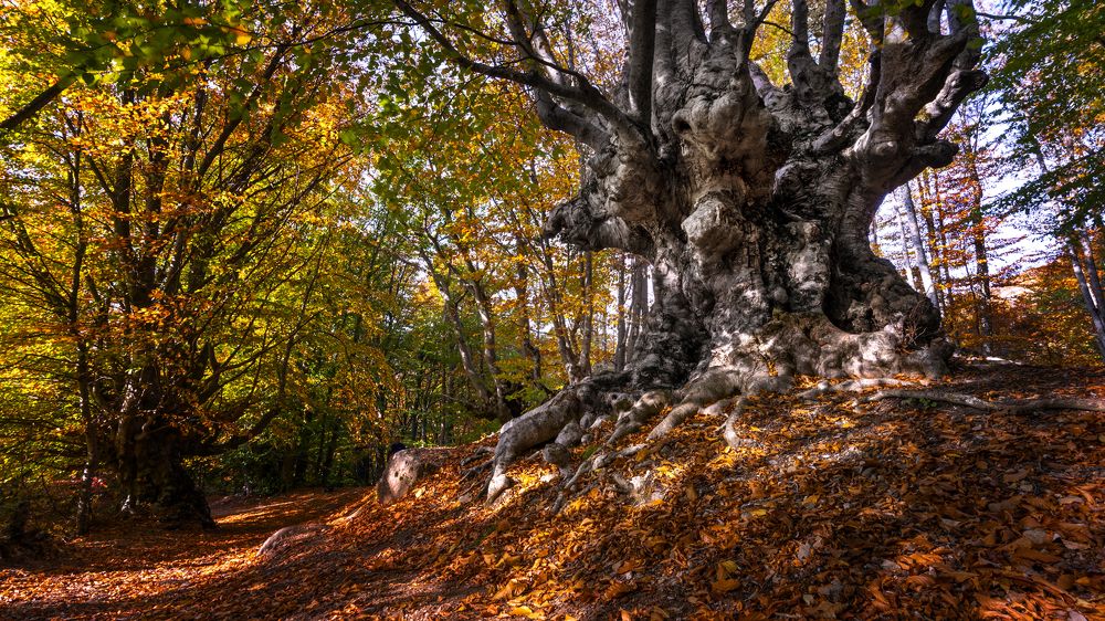 Photograph by Олег Герасимов