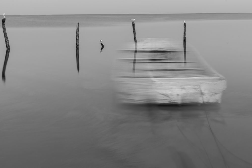 Photograph by Joaquin Silva